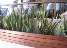 Kwikfynd Indoor Planting
tallangatta