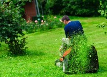 Kwikfynd Lawn Mowing
tallangatta