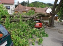 Kwikfynd Tree Cutting Services
tallangatta