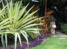 Kwikfynd Tropical Landscaping
tallangatta
